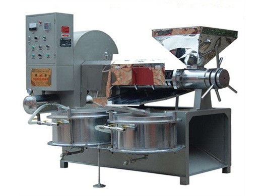 cold press top quality sesame oil production line