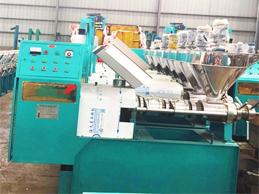 edible oil press production line expeller machiner