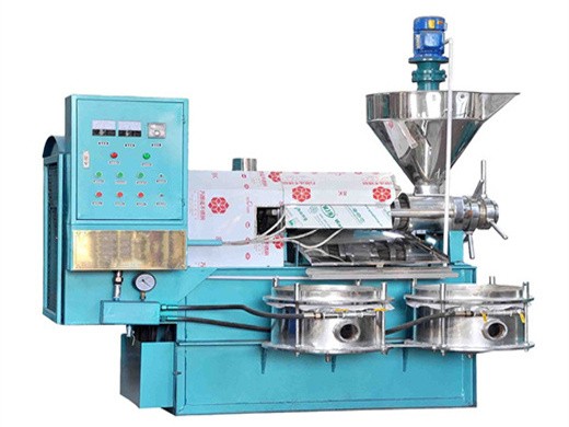 large-scale commercial olive oil press machine for sale