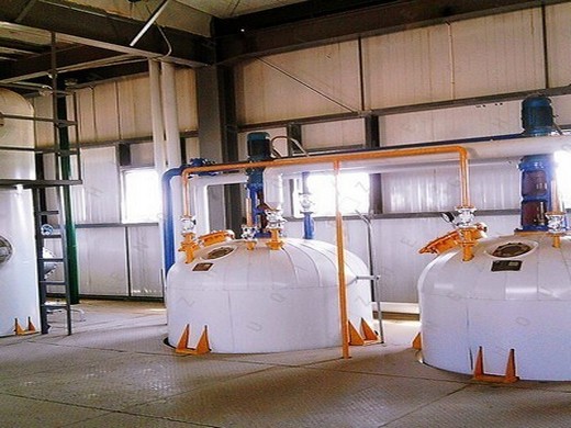 china olive oil press, olive oil press manufacturers