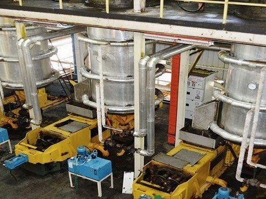 high output automatic screw type oil press production line