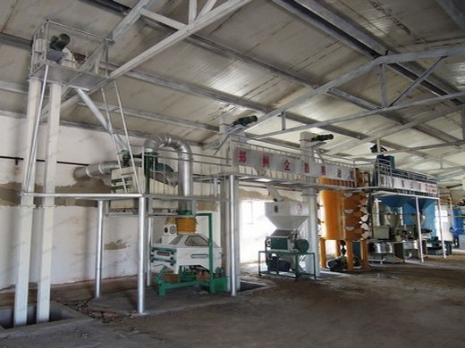 olive oil machines & presses