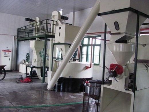 cold press oil expeller, cold oil press machine for sale