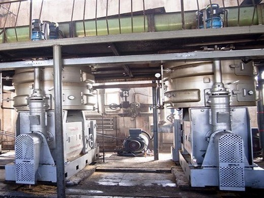 oil press machine | china leyisi industry limited