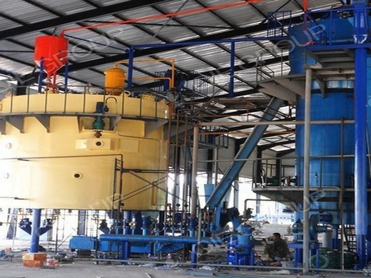 small edible oil refinery plant