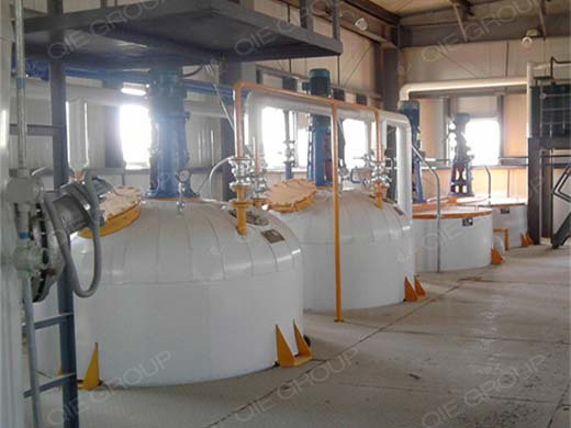 automatic large oil press peanut oil press machine in sudan