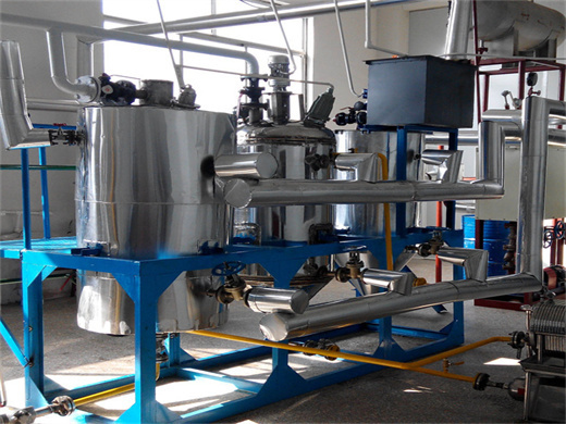 1500w automatic oil press machine stainless steel presser