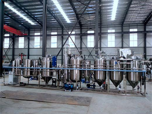 china prominent edible oil press machinery manufacture